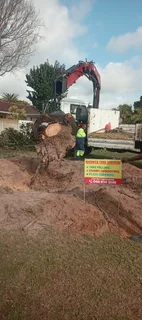 Knowle Tree services (068 826 5148)Tree felling,  stump uprooting,  Plot/bush clearing in PE
