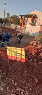 Knowle Tree services (068 826 5148)Tree felling,  stump uprooting,  Plot/bush clearing in PE