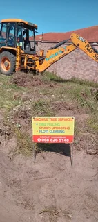 Knowle Tree services (068 826 5148)Tree felling,  stump uprooting, Plot/bush clearing