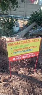 Knowle Tree services (068 826 5148)Tree felling,  stump uprooting, Plot/bush clearing