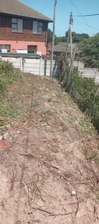 Knowle Tree services (068 826 5148)Tree felling,  stump uprooting, Plot/bush clearing