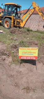 Knowle Tree services (068 826 5148)Tree felling,  stump uprooting, Plots/bush clearing in PE