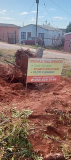 Knowle Tree services (068 826 5148)Tree felling,  stump uprooting, Plots/bush clearing in PE