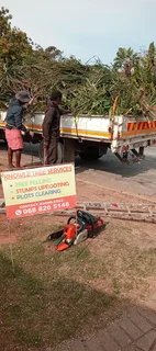Knowle Tree services (068 826 5148)Tree felling,  stump uprooting, Plots/bush clearing in PE