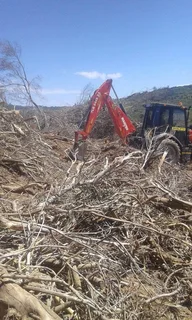 Knowle Tree services (068 826 5148)Port Elizabeth