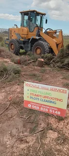 Bush/plots clearing in Port Elizabeth byKnowle Tree services (068 826 5148)
