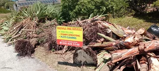 Knowle Tree services (068 826 5148)Tree felling,  stump uprooting, Plot/bush in PE
