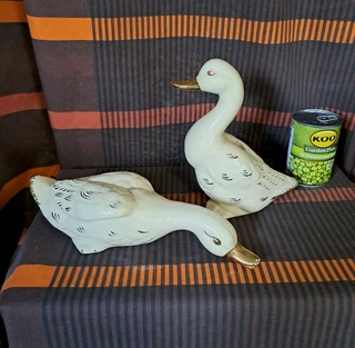 Ornamental Ducks (Pair)