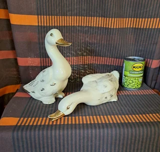 Ornamental Ducks (Pair)