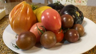 Hands-On Organic / Permaculture Farm Practitioner – Full-Time