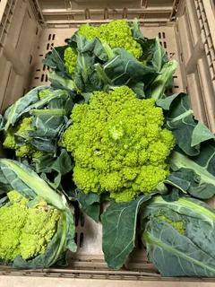 Hands-On Organic / Permaculture Farm Practitioner – Full-Time