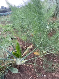 Hands-On Organic / Permaculture Farm Practitioner – Full-Time