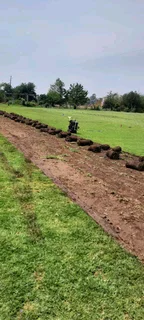 Instant Lawn, Artificial Turf, Irrigation sprinklers,Top soil, Plants Boreholes and Construction