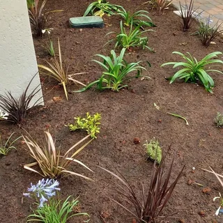 Instant Lawn, Artificial Turf, Irrigation sprinklers,Top soil, Plants Boreholes and Construction