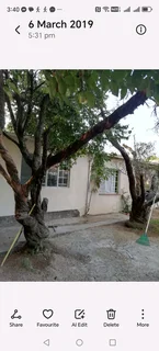 Garden cottage to let in Blairgowrie