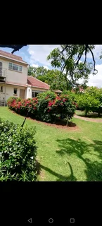 Garden cottage to let in Blairgowrie