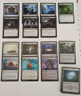 MTG - Magic The Gathering Commander - Custom Braids Aristocrats Mono Black EDH Deck