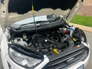 2022 ford ecosport 1.5L