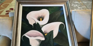 Beautiful Arum Lilly in Frame 103/92cm