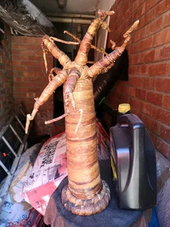 Baobab Tree Decoration