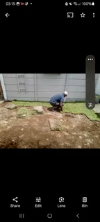 All types of Grass kukuyu ,buffaloes and LM beria