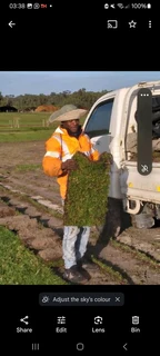 All types of Grass kukuyu ,buffaloes and LM beria