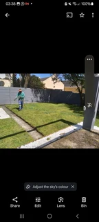 All types of Grass kukuyu ,buffaloes and LM beria