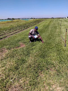 WM MINI MOVERS AND REMOVALS