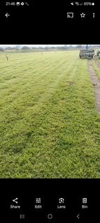 WM MINI MOVERS AND REMOVALS