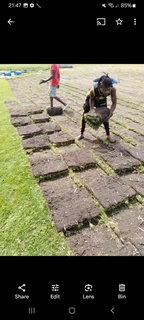 WM MINI MOVERS AND REMOVALS