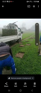 WM MINI MOVERS AND REMOVALS