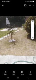 WM MINI MOVERS AND REMOVALS