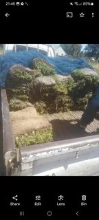 WM MINI MOVERS AND REMOVALS