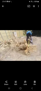 WM MINI MOVERS AND REMOVALS