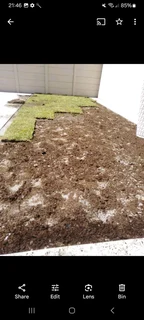 WM MINI MOVERS AND REMOVALS