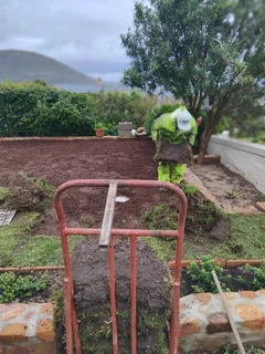 All types of Grass kukuyu ,buffaloes and LM beria