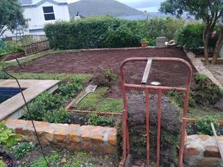 All types of Grass kukuyu ,buffaloes and LM beria