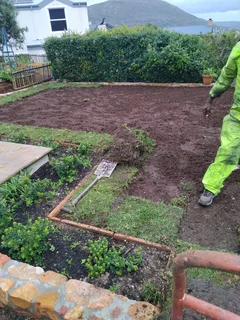 All types of Grass kukuyu ,buffaloes and LM beria