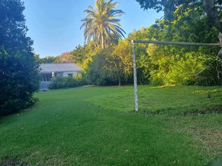 All types of Grass kukuyu ,buffaloes and LM beria