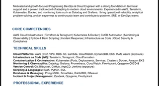 Professional CV and LinkedIn Revamp