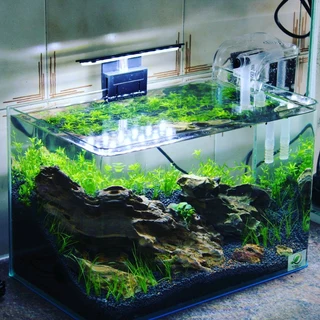 Auqasoil plant substrate for Aquariums