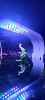 Clip on Aquarium LED lights