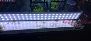 3 foot aquariums lights