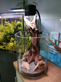 Aquarium Clip on Spot lights