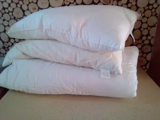 duvet inner  single and two pillows R200