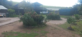 Rental Accommodation