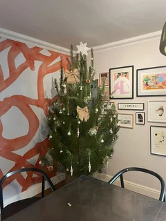 Real Christmas Trees for Sale!