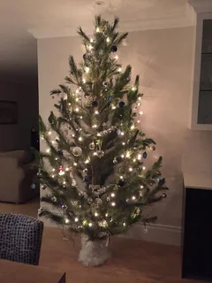 Real Christmas Trees for Sale!