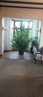 Real Christmas Trees for Sale and Delivered