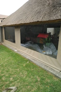 Canvas Patio and Lapa roller blinds and awnings